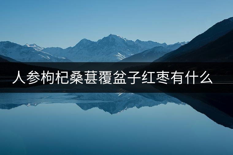 人參枸杞桑葚覆盆子紅棗有什么功效