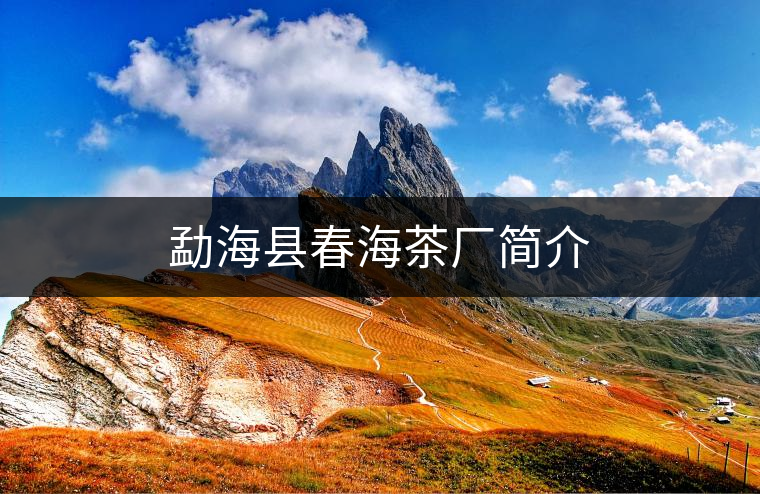 勐?？h春海茶廠簡(jiǎn)介