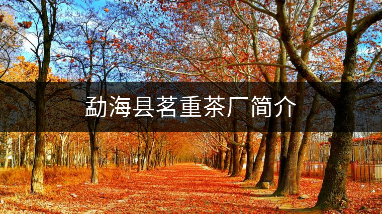勐海縣茗重茶廠簡(jiǎn)介