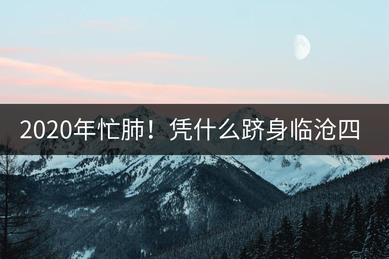 2020年忙肺！憑什么躋身臨滄四大名茶-易武中聘號
