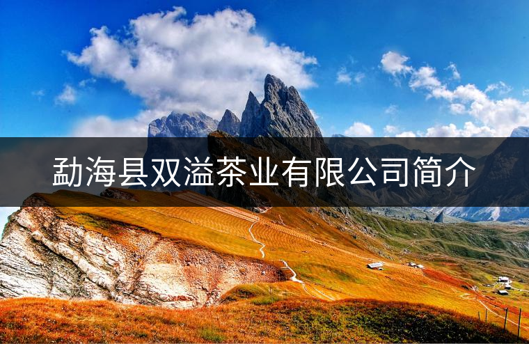 勐?？h雙溢茶業(yè)有限公司簡(jiǎn)介