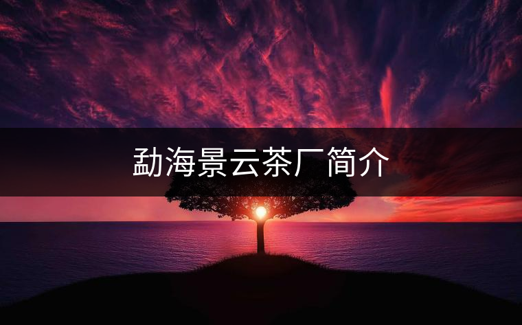 勐海景云茶廠(chǎng)簡(jiǎn)介 勐海景云茶廠(chǎng)簡(jiǎn)介