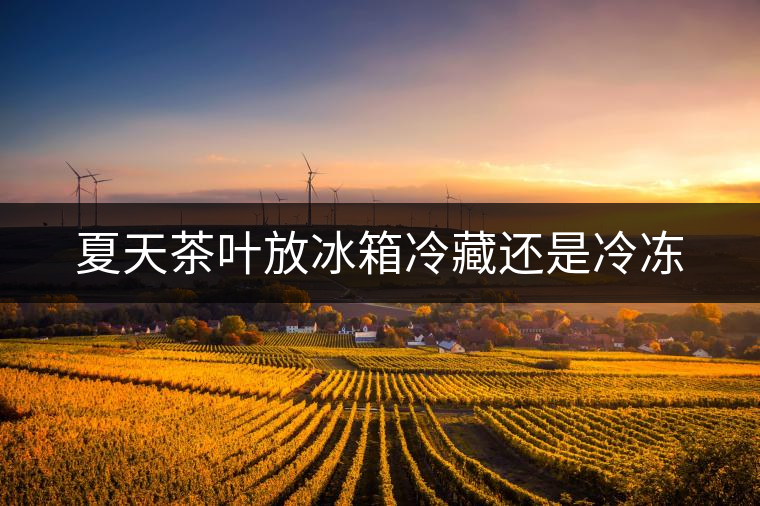 夏天茶葉放冰箱冷藏還是冷凍