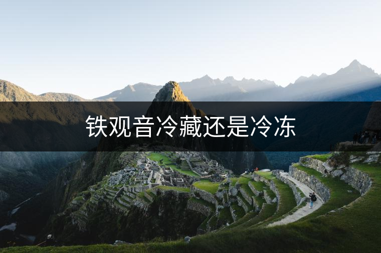 鐵觀音冷藏還是冷凍 鐵觀音冷藏還是冷凍