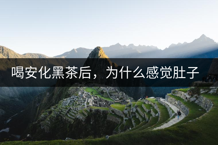 喝安化黑茶后，為什么感覺肚子餓的快？
