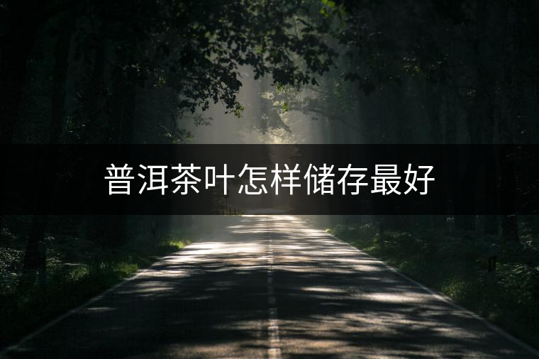 普洱茶葉怎樣儲(chǔ)存最好