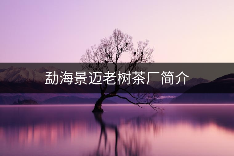 勐海景邁老樹茶廠簡(jiǎn)介 勐海景邁老樹茶廠簡(jiǎn)介