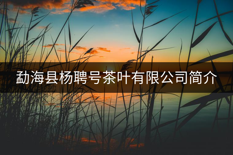 勐?？h楊聘號茶葉有限公司簡介