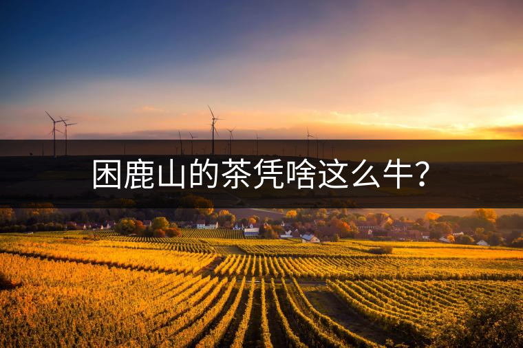 困鹿山的茶憑啥這么牛？