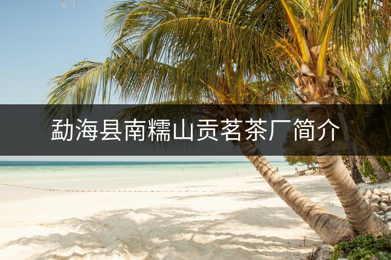 勐?？h南糯山貢茗茶廠簡(jiǎn)介