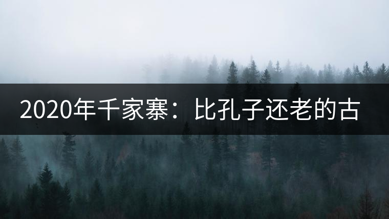 2020年千家寨:比孔子還老的古茶樹(shù)-易武中聘號(hào) 2020年千家寨:比孔子還老的古茶樹(shù)-易武中聘號(hào)