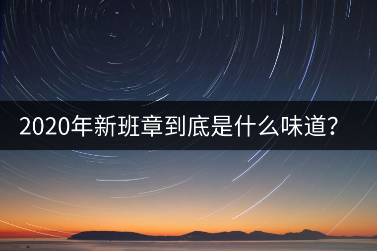 2020年新班章到底是什么味道？-易武中聘號(hào)