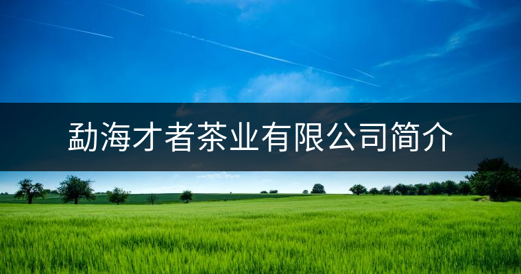 勐海才者茶業(yè)有限公司簡介 勐海才者茶業(yè)有限公司簡介