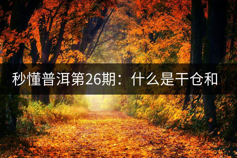 秒懂普洱第26期：什么是干倉和濕倉？