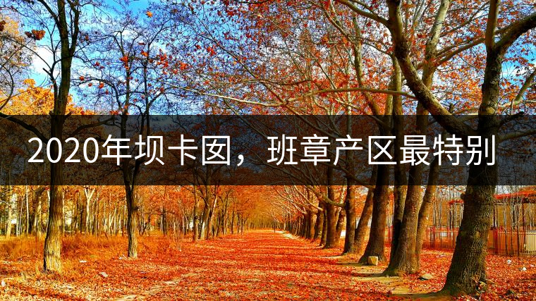 2020年壩卡囡，班章產(chǎn)區(qū)最特別的茶 -易武中聘號(hào)
