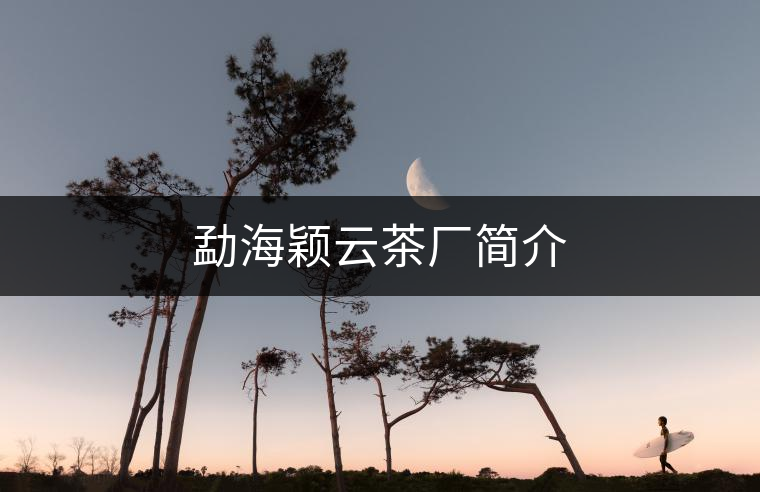 勐海穎云茶廠簡(jiǎn)介 勐海穎云茶廠簡(jiǎn)介