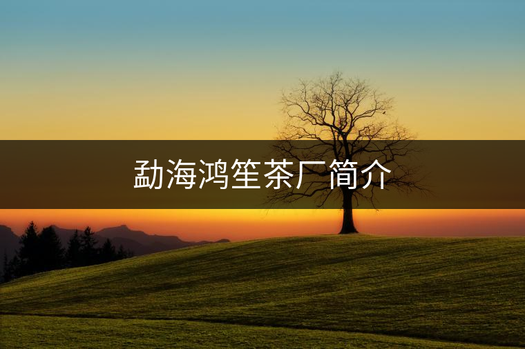 勐海鴻笙茶廠簡(jiǎn)介 勐海鴻笙茶廠簡(jiǎn)介