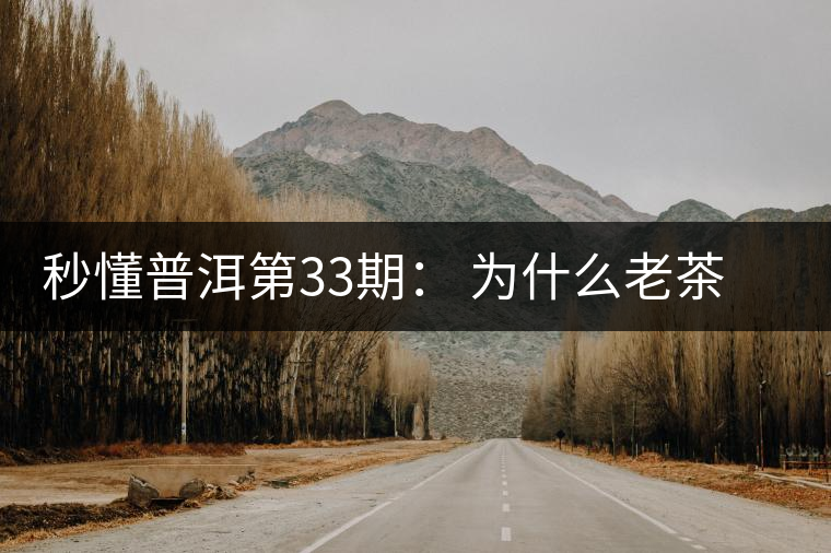 秒懂普洱第33期： 為什么老茶客都喜歡用紫砂壺泡普洱茶？