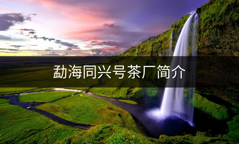 勐海同興號(hào)茶廠(chǎng)簡(jiǎn)介 勐海同興號(hào)茶廠(chǎng)簡(jiǎn)介