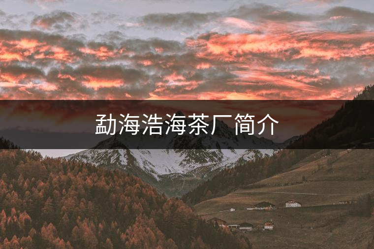 勐海浩海茶廠簡(jiǎn)介 勐海浩海茶廠簡(jiǎn)介