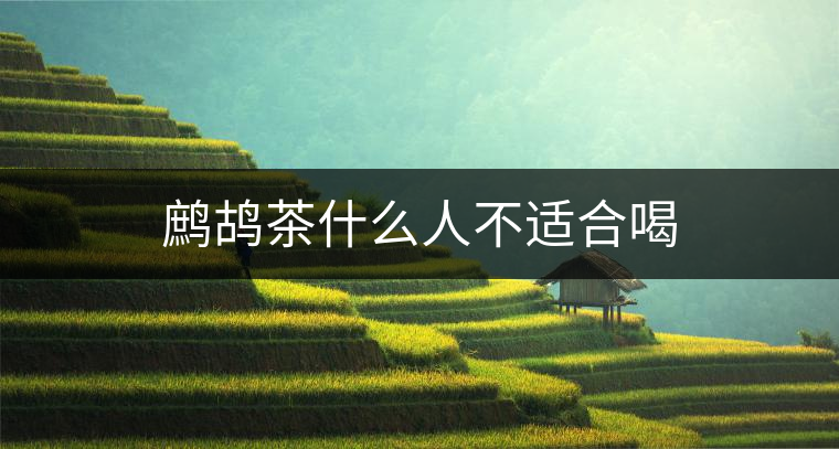 鷓鴣茶什么人不適合喝