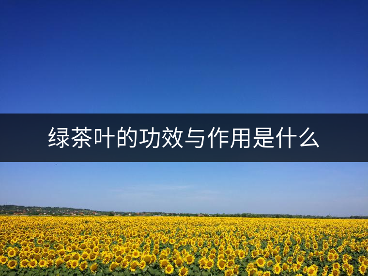 綠茶葉的功效與作用是什么 綠茶葉的功效與作用是什么