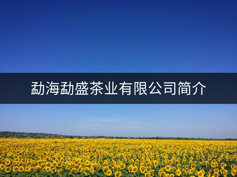 勐海勐盛茶業(yè)有限公司簡介 勐海勐盛茶業(yè)有限公司簡介