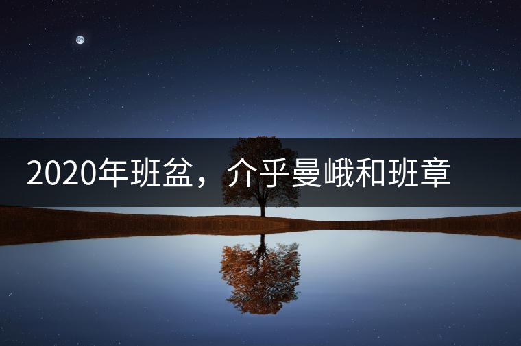 2020年班盆，介乎曼峨和班章間的“老漢子”-易武中聘號(hào)