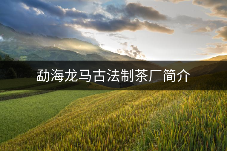 勐海龍馬古法制茶廠(chǎng)簡(jiǎn)介 勐海龍馬古法制茶廠(chǎng)簡(jiǎn)介