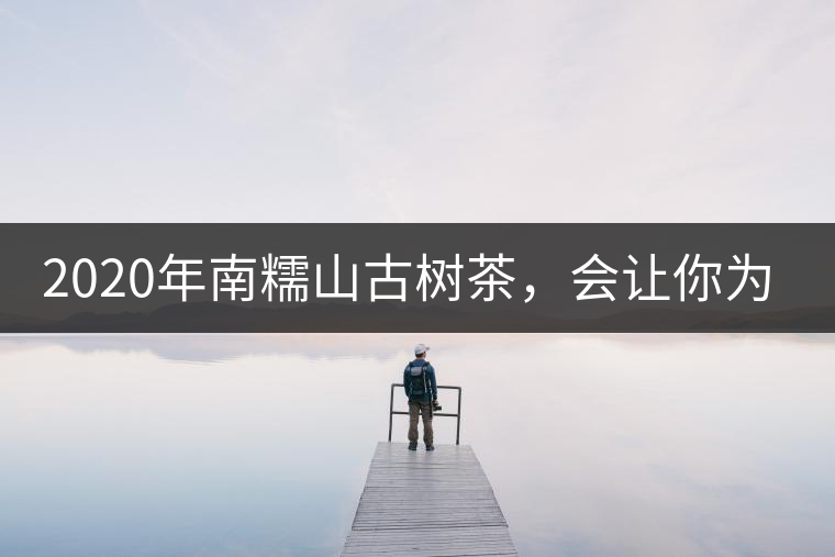 2020年南糯山古樹茶，會讓你為之著迷-易武中聘號