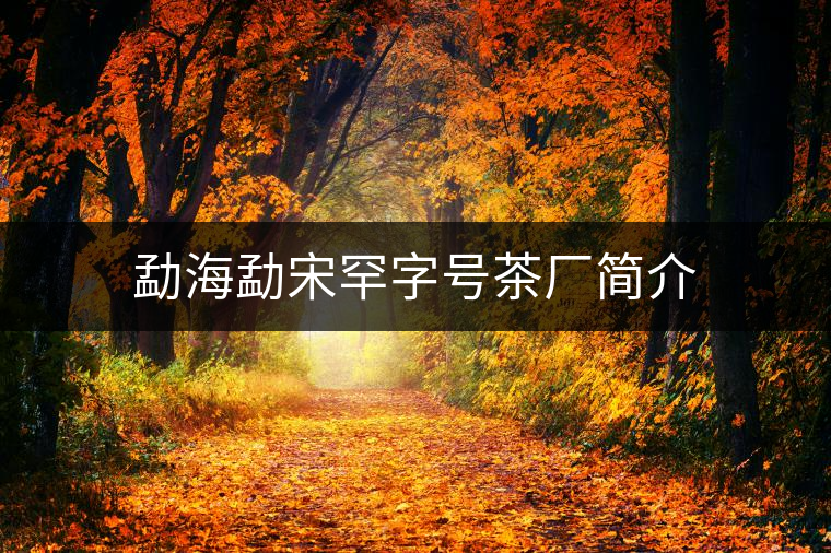 勐海勐宋罕字號茶廠簡介