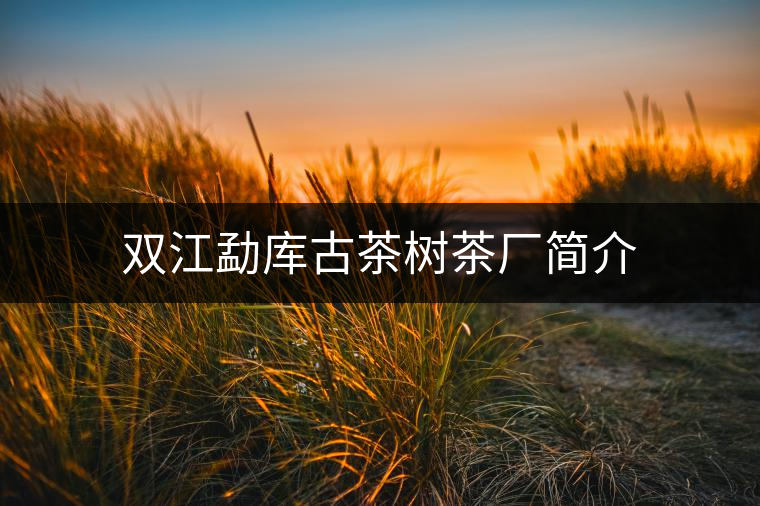 雙江勐庫古茶樹茶廠簡介