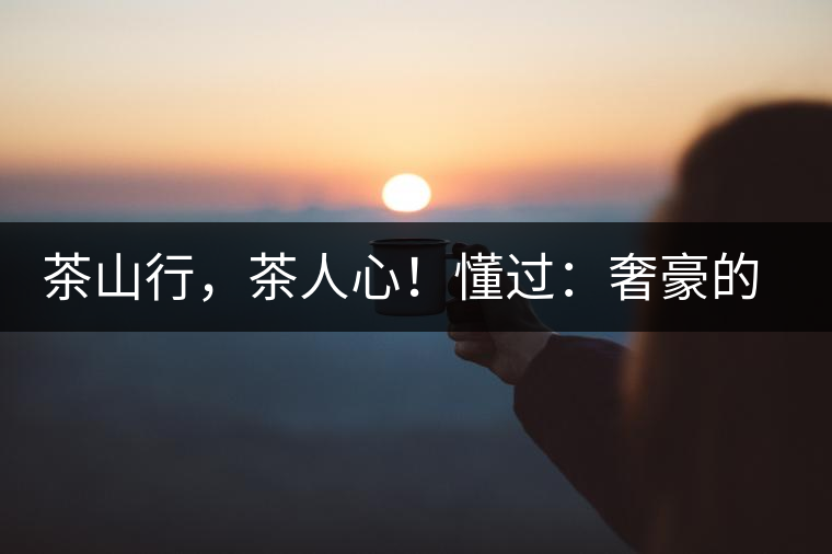 茶山行，茶人心！懂過：奢豪的性價(jià)比之王