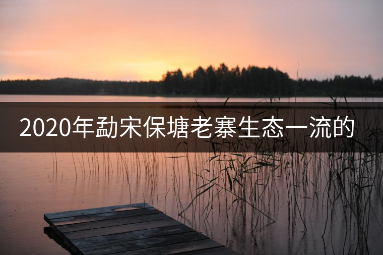 2020年勐宋保塘老寨生態(tài)一流的古樹(shù)茶-易武中聘號(hào)