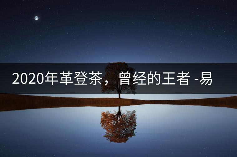 2020年革登茶，曾經(jīng)的王者 -易武中聘號(hào)