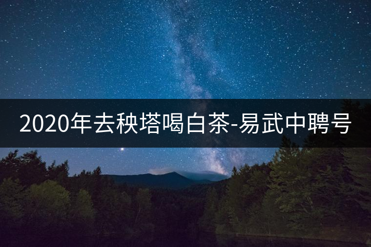 2020年去秧塔喝白茶-易武中聘號(hào)