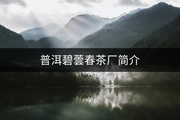 普洱碧蕓春茶廠簡(jiǎn)介 普洱碧蕓春茶廠簡(jiǎn)介