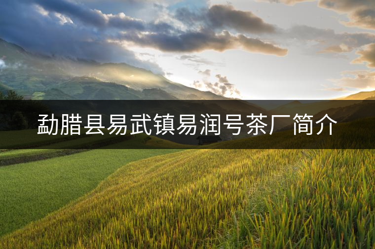 勐臘縣易武鎮(zhèn)易潤(rùn)號(hào)茶廠簡(jiǎn)介 勐臘縣易武鎮(zhèn)易潤(rùn)號(hào)茶廠簡(jiǎn)介