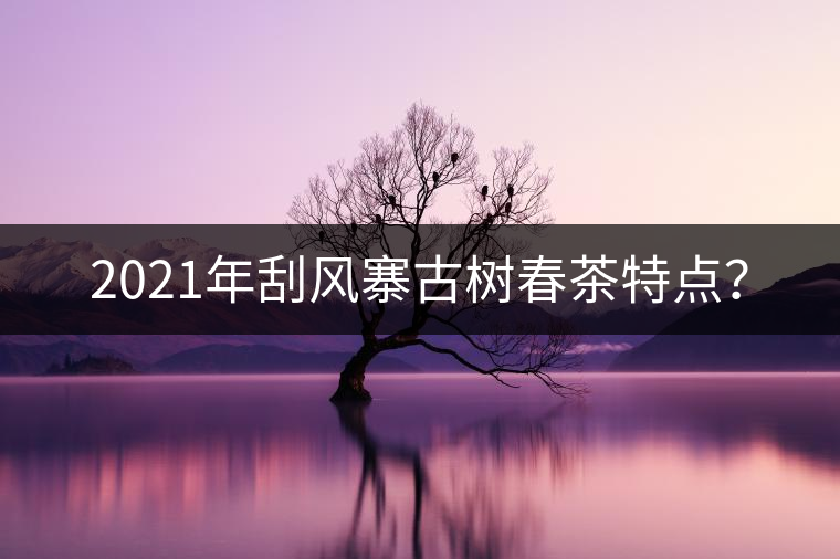 2021年刮風(fēng)寨古樹春茶特點？