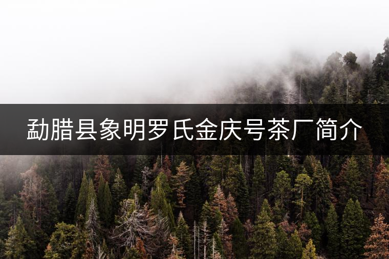 勐臘縣象明羅氏金慶號(hào)茶廠簡介 勐臘縣象明羅氏金慶號(hào)茶廠簡介