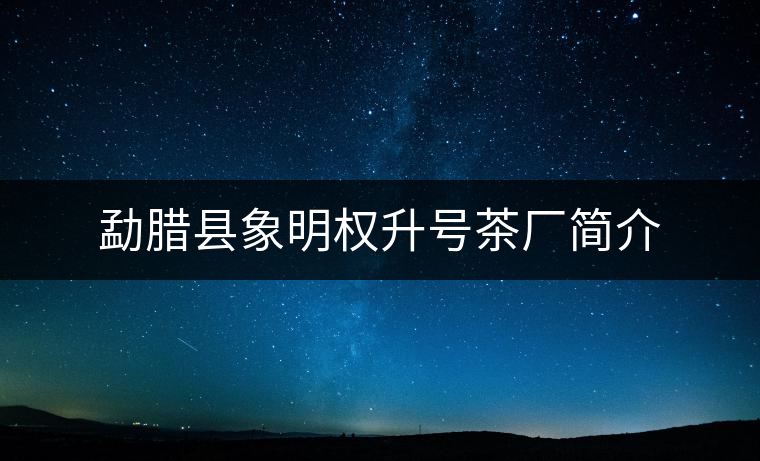 勐臘縣象明權(quán)升號茶廠簡介 勐臘縣象明權(quán)升號茶廠簡介