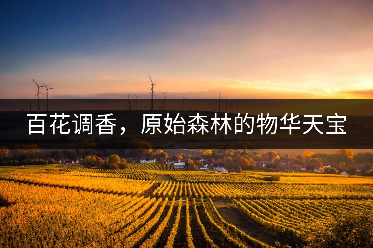 百花調(diào)香，原始森林的物華天寶