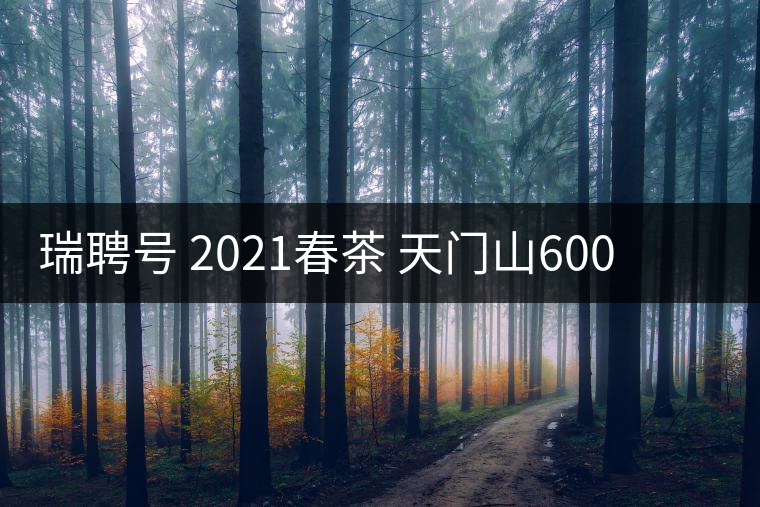 瑞聘號(hào) 2021春茶 天門山600 頭春古樹口感怎么樣？