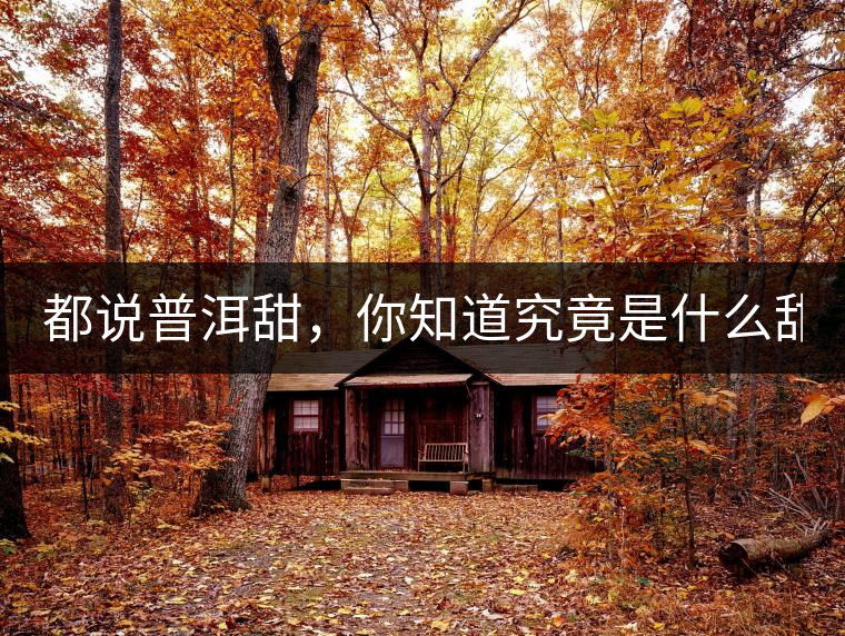 都說(shuō)普洱甜，你知道究竟是什么甜嗎？