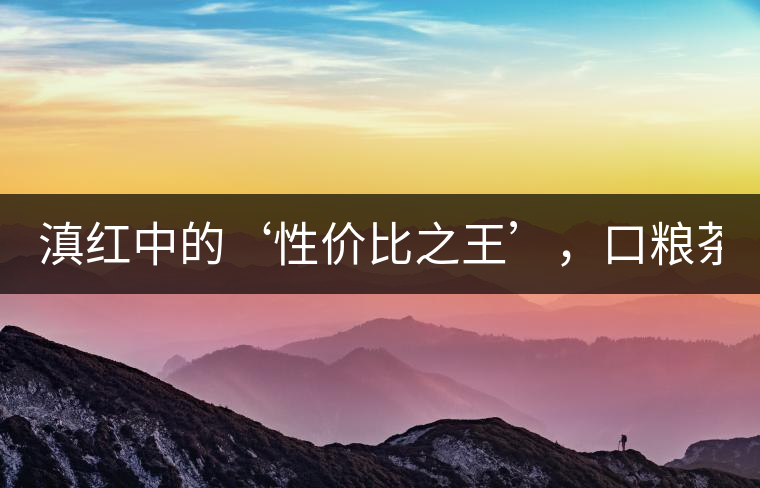 滇紅中的‘性價比之王’，口糧茶首選！