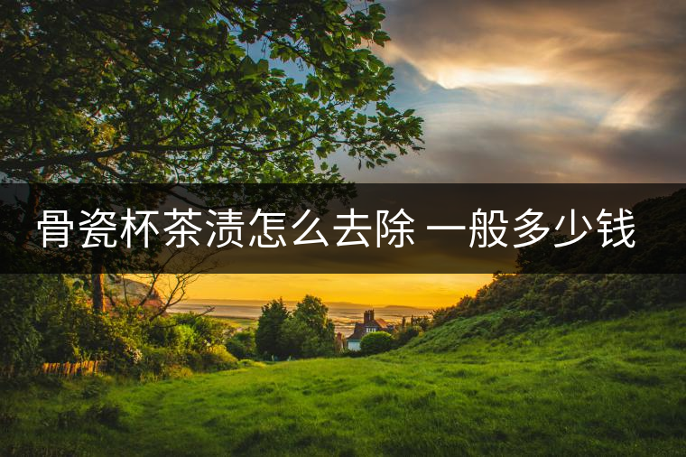 骨瓷杯茶漬怎么去除 一般多少錢一個(gè)