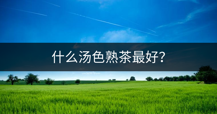 什么湯色熟茶最好？