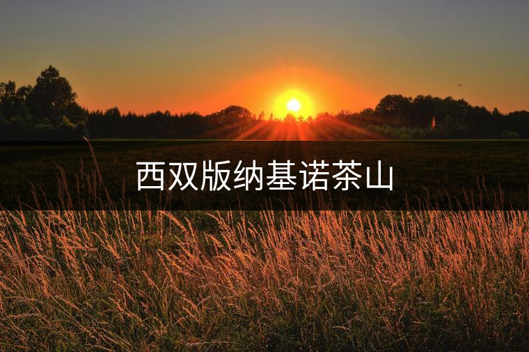 西雙版納基諾茶山 西雙版納基諾茶山