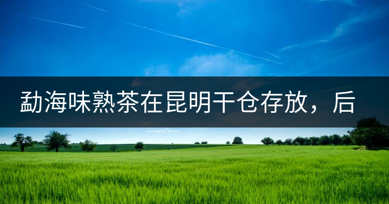 勐海味熟茶在昆明干倉存放，后期轉(zhuǎn)化如何呢？