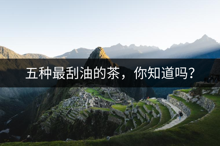 五種最刮油的茶，你知道嗎？